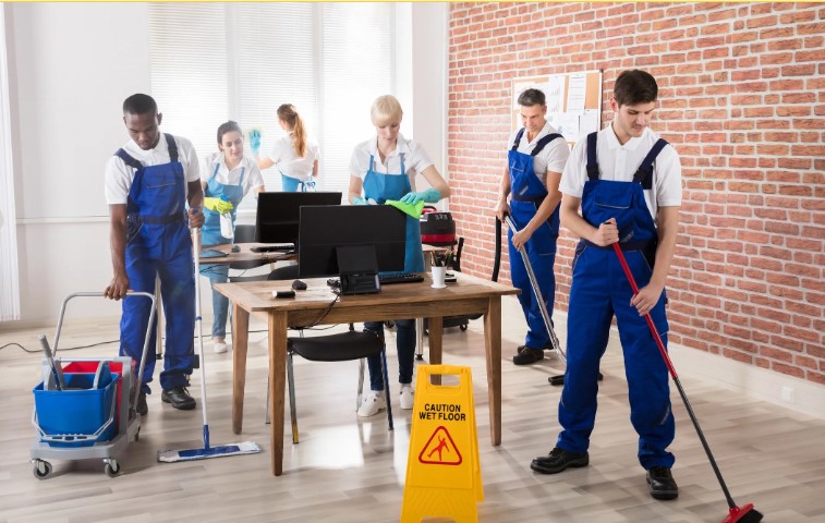 Servicios de limpieza profesional